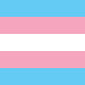 TRANSGENDER TRANSGENDER